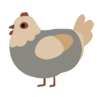 A ash and beige chicken with a head pattern
