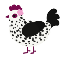 A white and black chicken with a speckle pattern