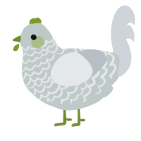 A silver and mist chicken with a lace pattern