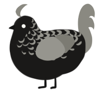A sable and ash chicken with a half-lace pattern