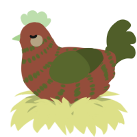 A russet and olive chicken with a bar pattern