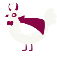 A white chicken with a half-lace pattern