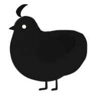 A sable and black chicken with a half-lace pattern