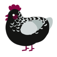 A black and silver chicken with a half-lace pattern