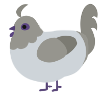 A mist and ash chicken with a head pattern