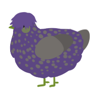 A overcast and grey chicken with a speckle pattern