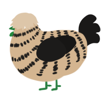 A beige and sable chicken with a bar pattern