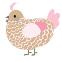 A beige and rose chicken with a lace pattern