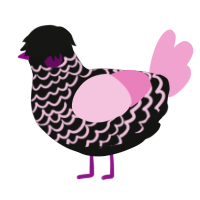 A black and pink chicken with a lace pattern