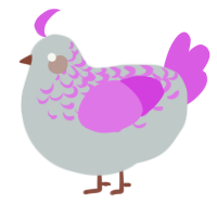 A silver and orchid chicken with a half-lace pattern