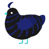 A sable and navy chicken with a bar pattern