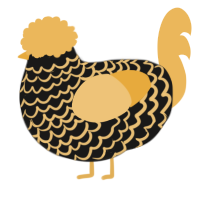 A sable and honey chicken with a lace pattern