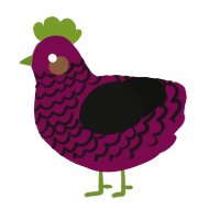A wine and black chicken with a lace pattern