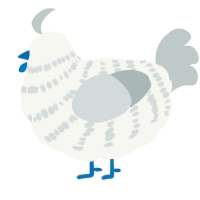 A white and silver chicken with a bar pattern
