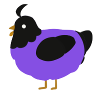 A blurple and black chicken with a head pattern