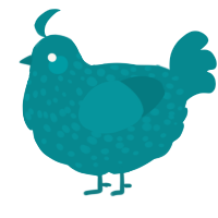 A teal chicken with a speckle pattern