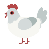 A white and silver chicken with a head pattern