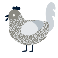 A ash and mist chicken with a double-lace pattern