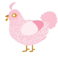 A rose chicken with a double-lace pattern
