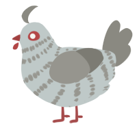 A silver and ash chicken with a bar pattern
