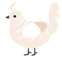 A cream chicken with a half-bar pattern