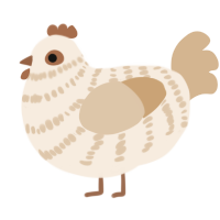 A cream and beige chicken with a bar pattern