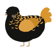 A black and orange chicken with a half-lace pattern
