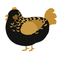 A black and gold chicken with a half-lace pattern