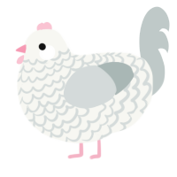 A white and silver chicken with a lace pattern