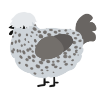 A mist and grey chicken with a speckle pattern