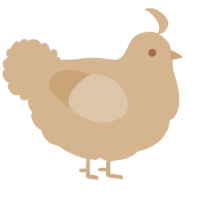 A beige chicken