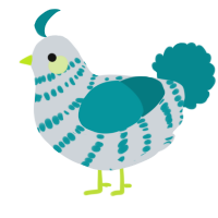 A mist and teal chicken with a bar pattern