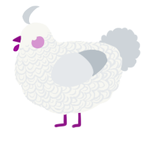 A white and mist chicken with a double-lace pattern