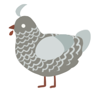 A ash and silver chicken with a lace pattern