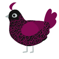 A black and wine chicken with a double-lace pattern