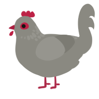 A ash chicken with a neck-speckle pattern