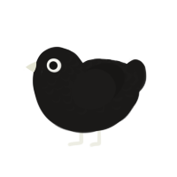 The Crow, a sable chicken with a half-lace pattern