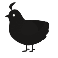 A sable chicken with a half-lace pattern