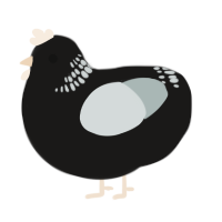 A sable and silver chicken with a neck-band pattern