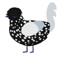 A black and mist chicken with a speckle pattern