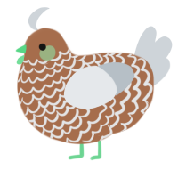 A brown and mist chicken with a lace pattern