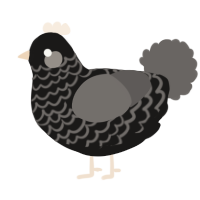 A sable and grey chicken with a lace pattern