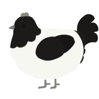 A white and sable chicken with a head pattern