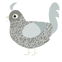 A ash and silver chicken with a double-lace pattern