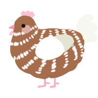 A brown and white chicken with a bar pattern