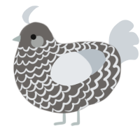 A grey and mist chicken with a lace pattern