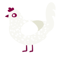 A white chicken with a speckle pattern