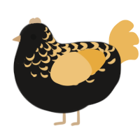 A sable and honey chicken with a half-lace pattern