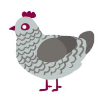 A silver and grey chicken with a lace pattern