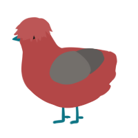 A red and grey chicken